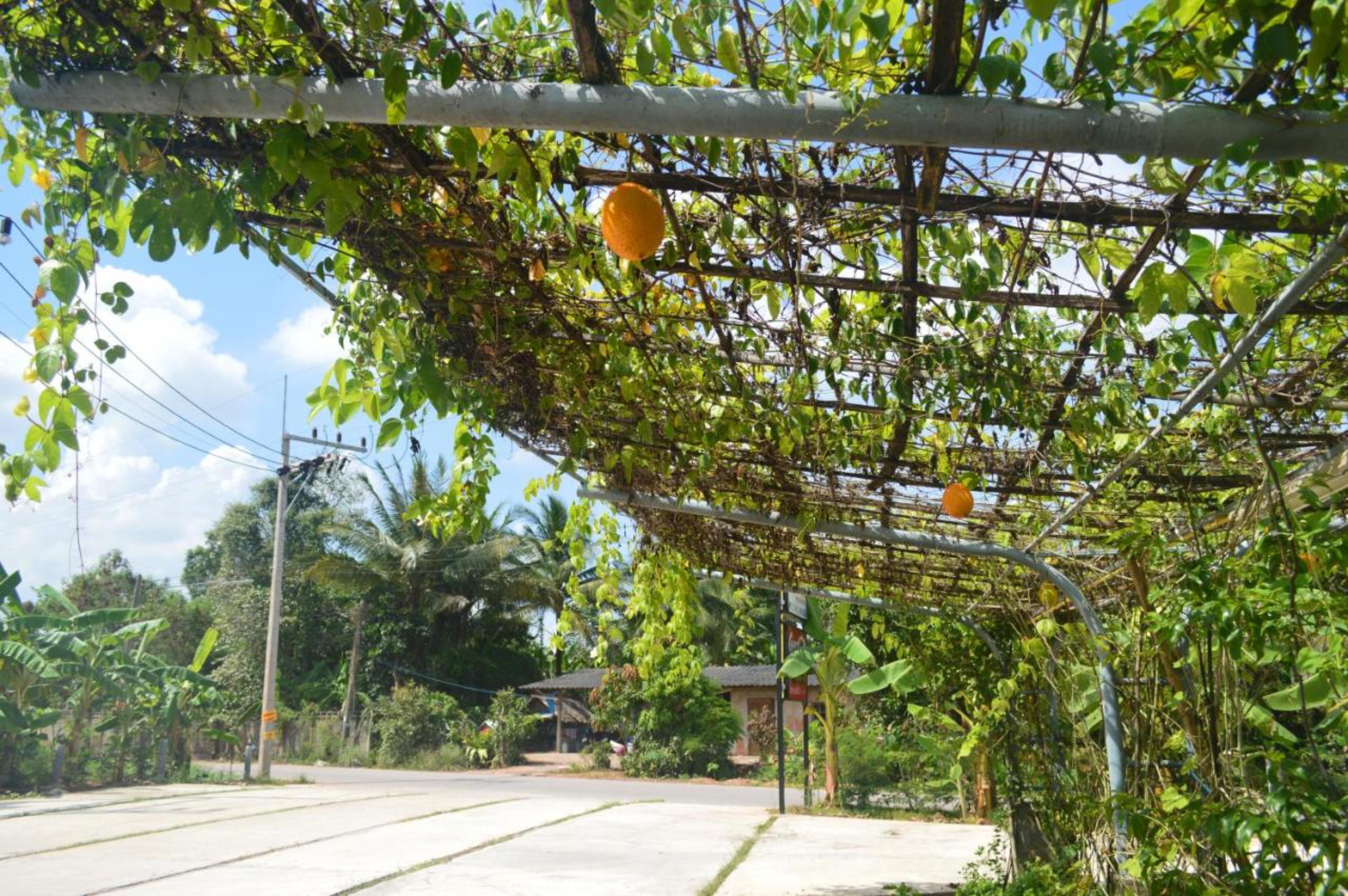 Be Fine Sabuy Hotel&Resort Surat Thani Exterior foto